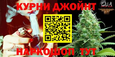 spice Будённовск