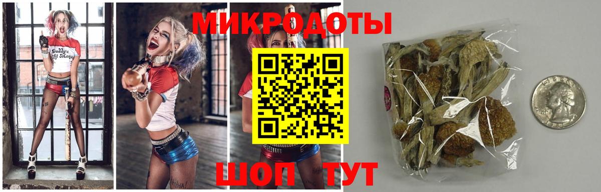 Камень-на-Оби  Псилоцибиновые грибы мухоморы  Вход с VPN 